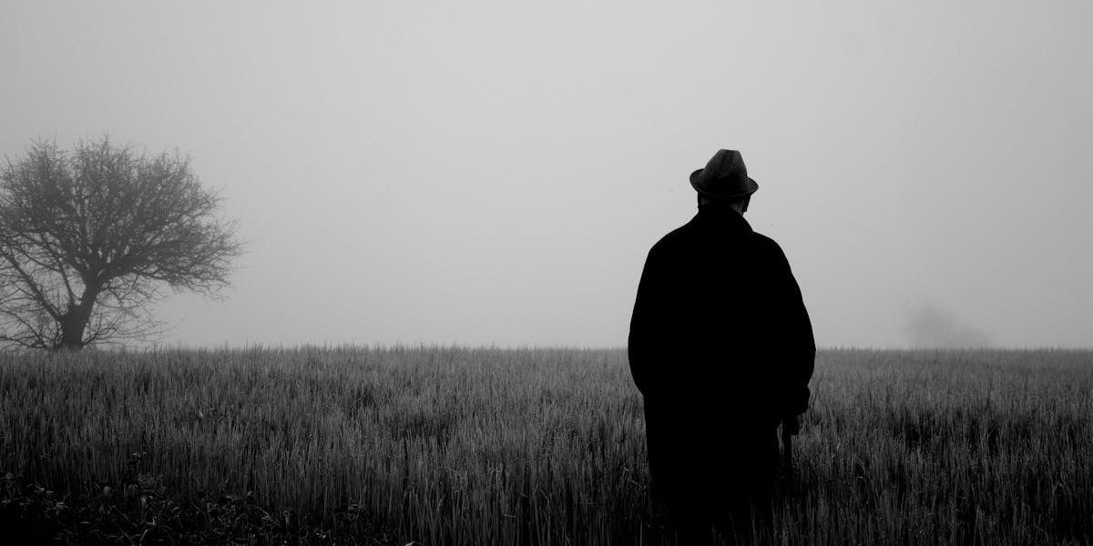 A lone figure stands in a foggy field, evoking mystery and solitude.