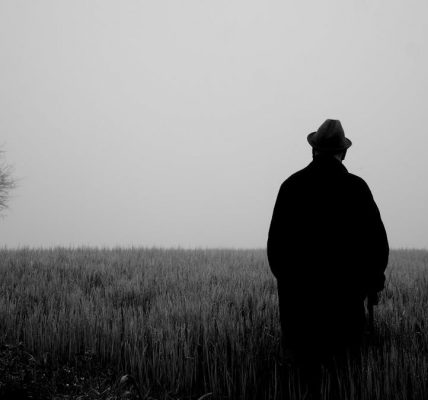 A lone figure stands in a foggy field, evoking mystery and solitude.