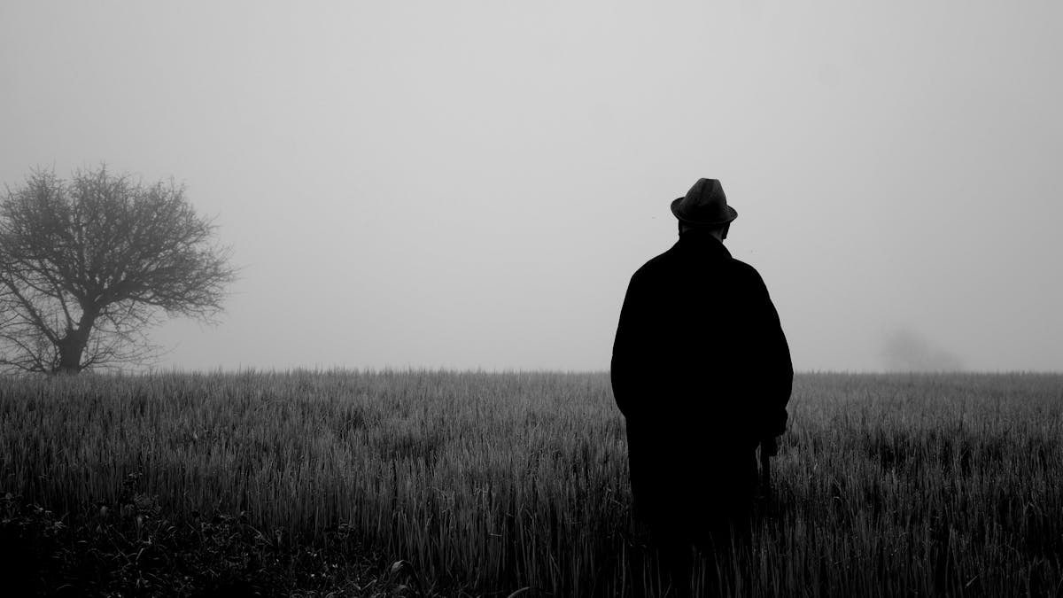 A lone figure stands in a foggy field, evoking mystery and solitude.